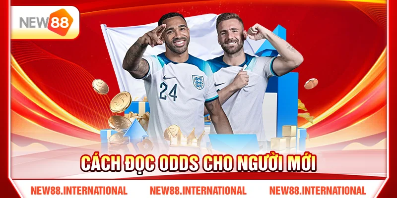 Cách đọc odds cho người mới